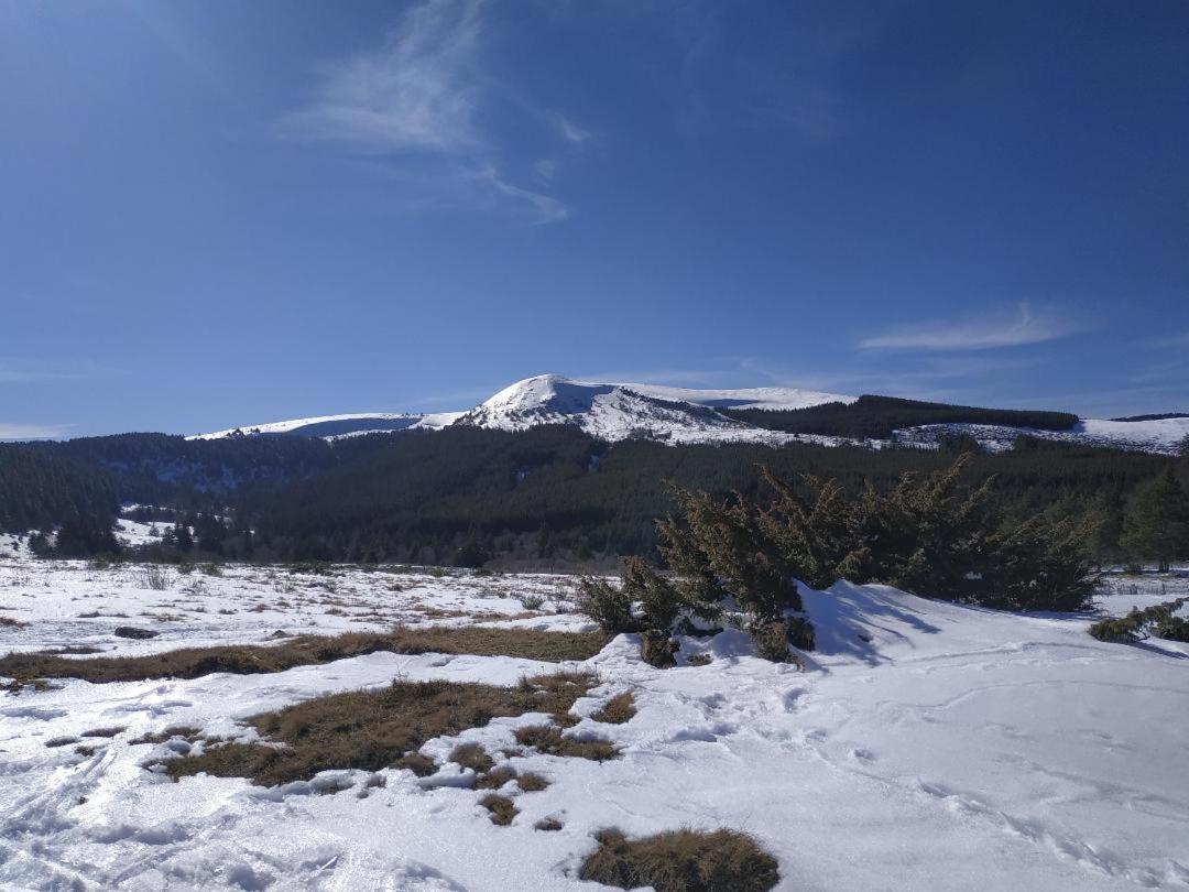 Nid Sous Le Volcan Saint-Sandoux Екстер'єр фото