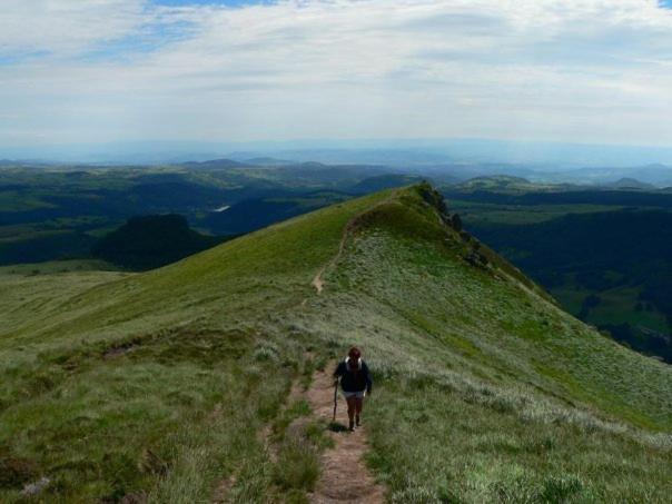 Nid Sous Le Volcan Saint-Sandoux Екстер'єр фото